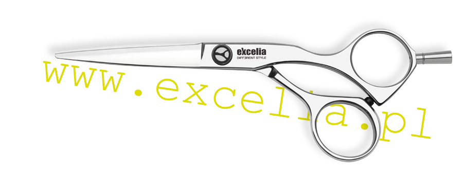 Excelia EC 55