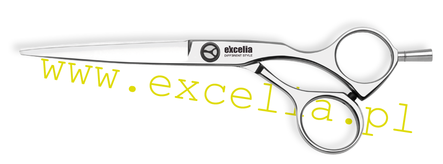 Excelia EC 60
